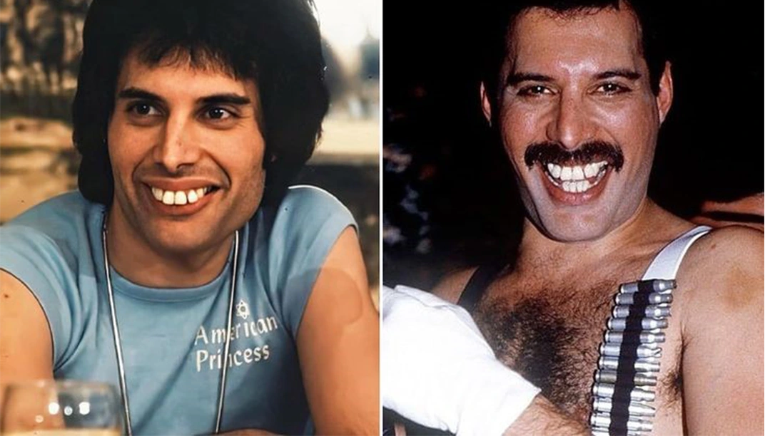 Freddie Mercury Magnetic Personality